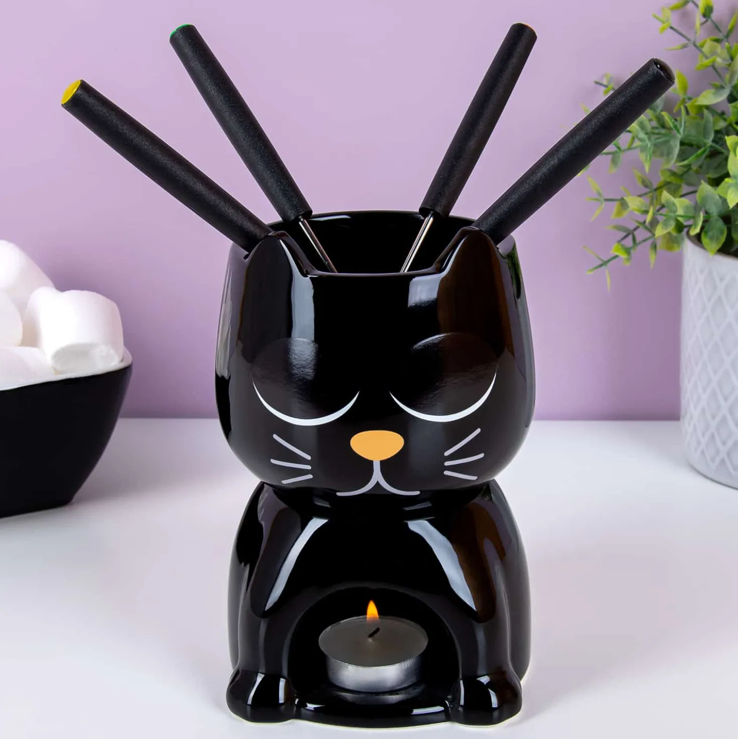 Warmtegevoelige kat fondueset
