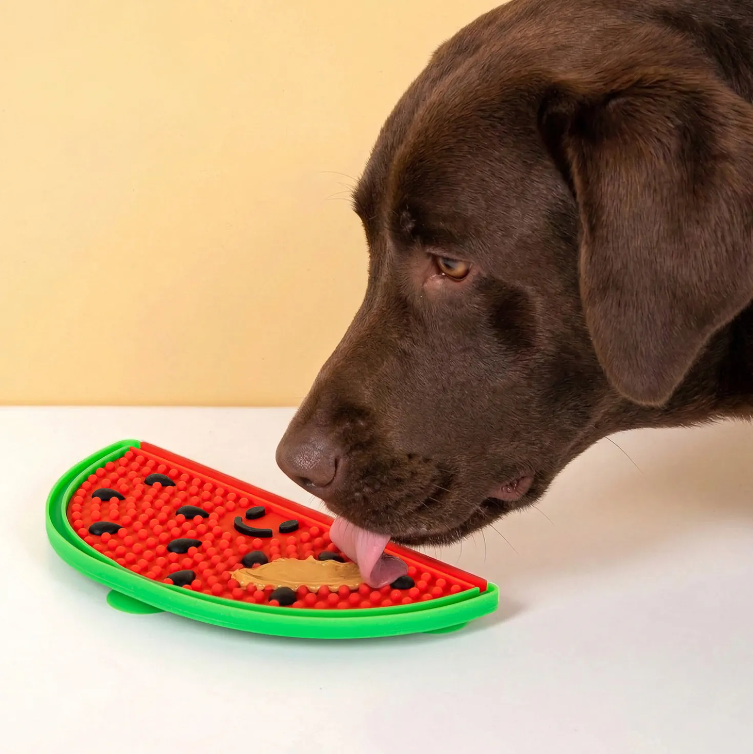 Watermeloen likmat voor honden