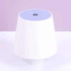 Wijnfles lampje