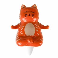 Yoga kat waterdruppelaar