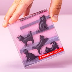 Zwarte kat magneten (set van 5)