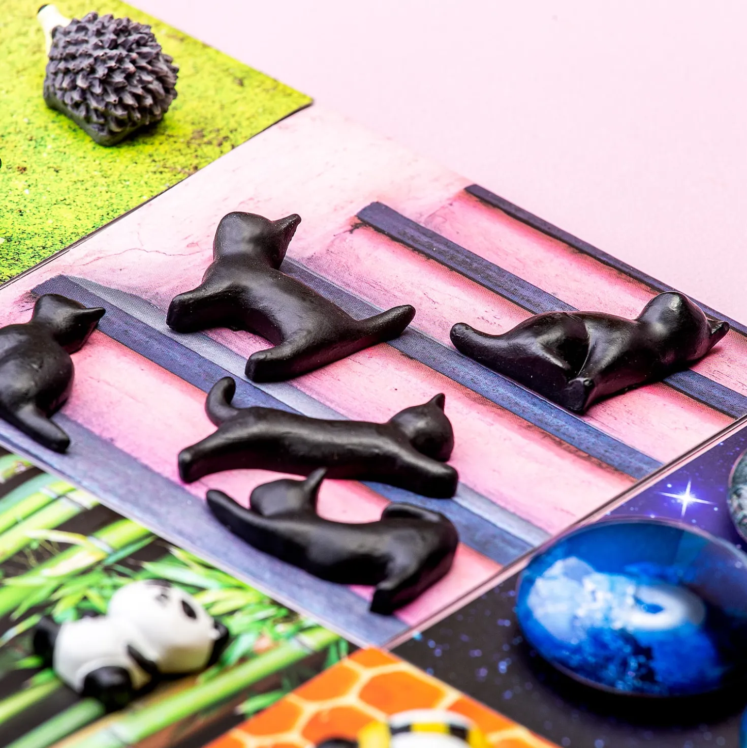 Zwarte kat magneten (set van 5)
